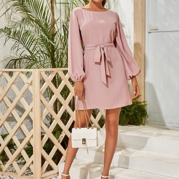 Rust pink lantern long sleeve mini dress Minimalist Work - Picture 12 of 16